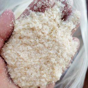 XION Copos de Papa Molidos a Granel Instantáneos (Harina de Papa)
